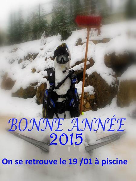 bonne_annee_2015